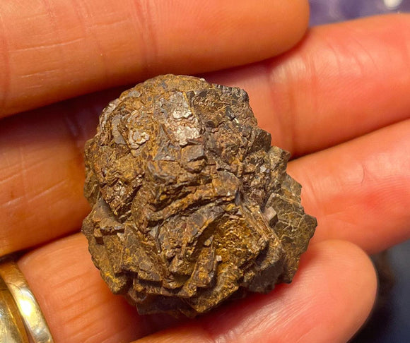 Prophecy Stone Limonite after Pyrite ~30 gm specimen - Infinite Treasures, LLC