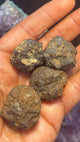 Prophecy Stone Limonite after Pyrite ~30 gm specimen - Infinite Treasures, LLC