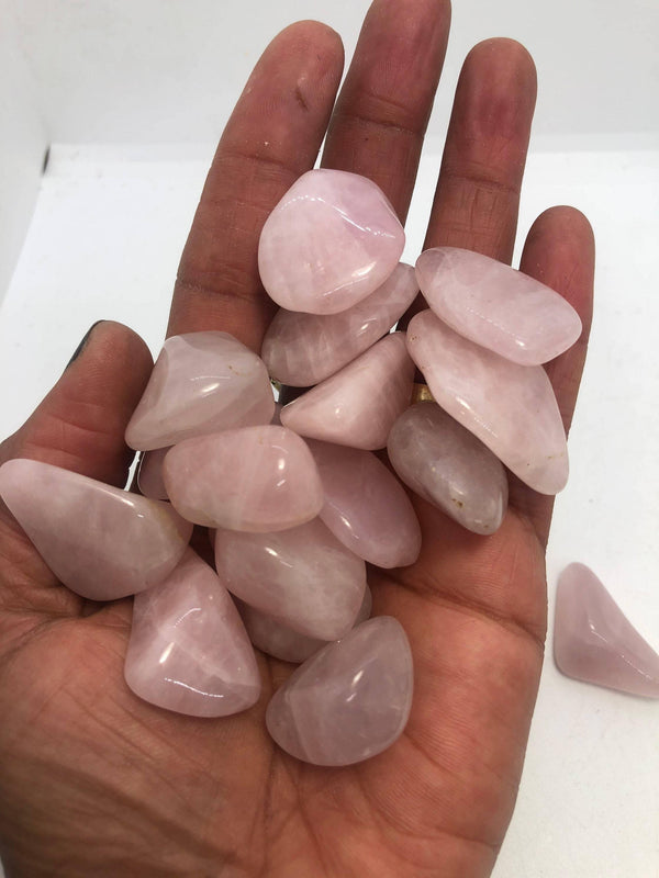 Rose Quartz .5-1-inch polished Tumble Stone Crystal lot of 3 stones - Infinite Treasures, LLC